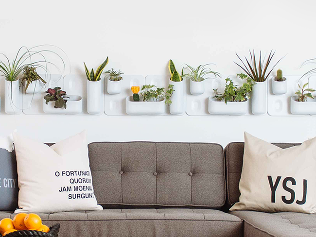 Urban Vertical Garden