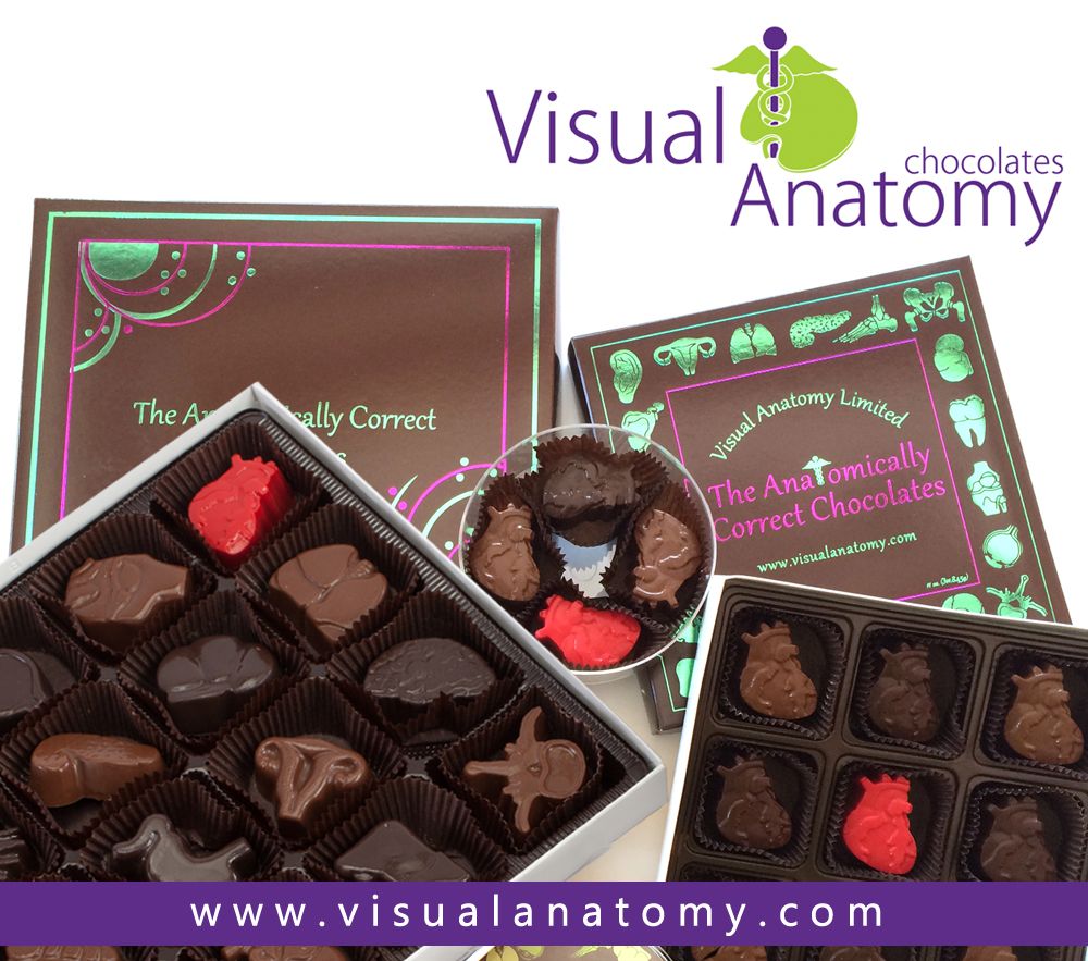 Visual Anatomy Chocolates