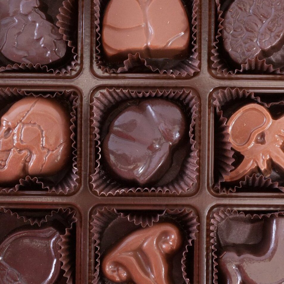 Visual Anatomy Chocolates