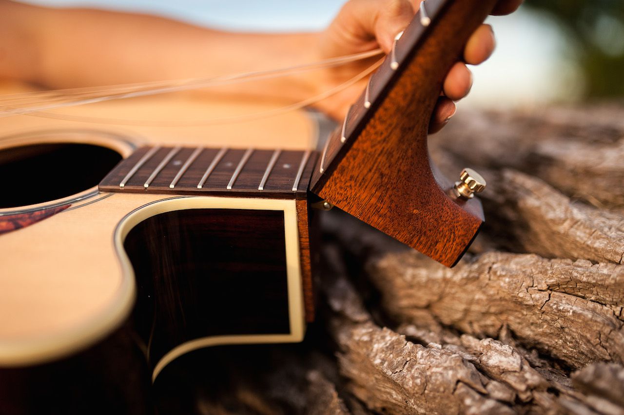 Voyage-Air  Folding Guitar