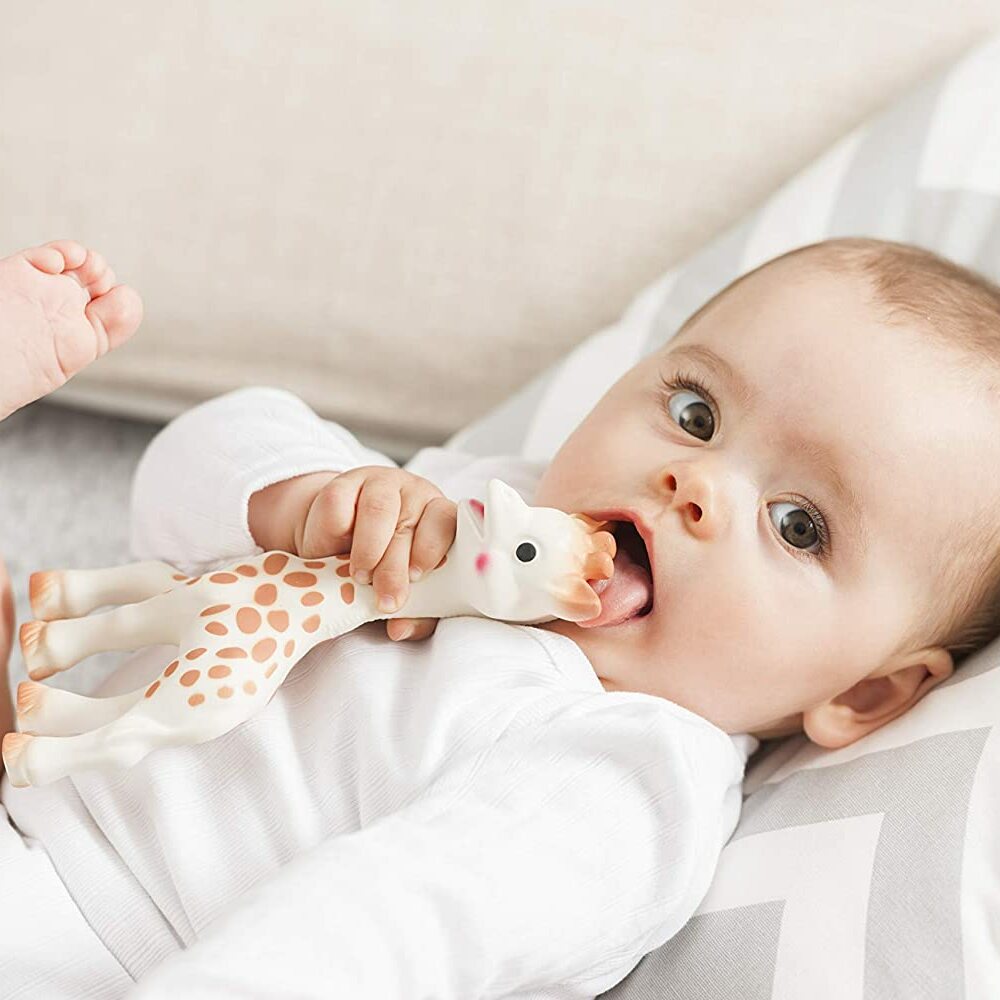 Vulli The Giraffe Teether