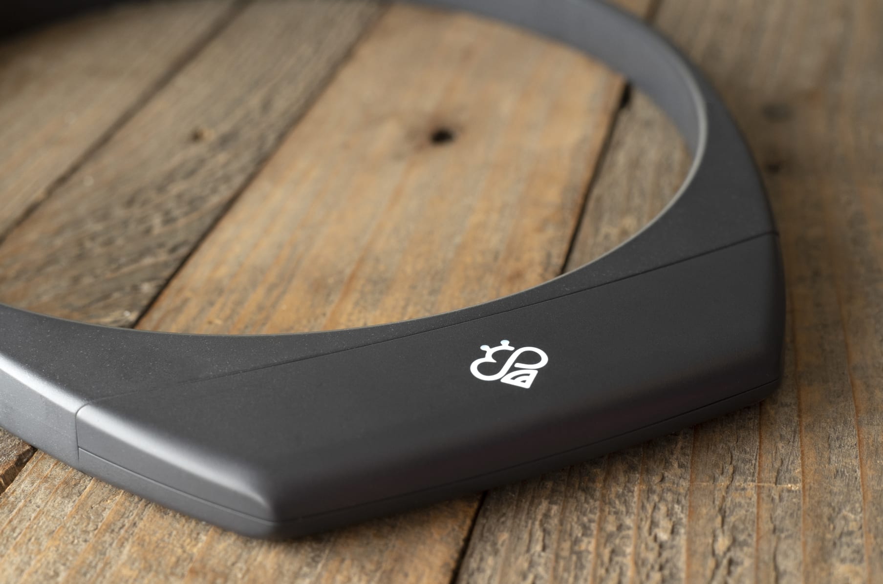 Wearable that Aligns Your Mental State With Your Goals