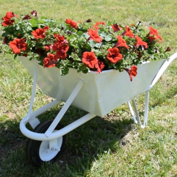 Wheelbarrow Flower Planter