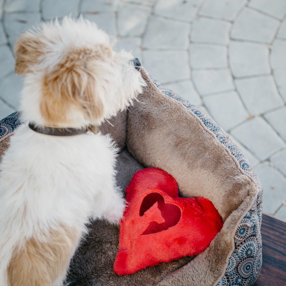 “When You’re Away” Comfort Cuddler