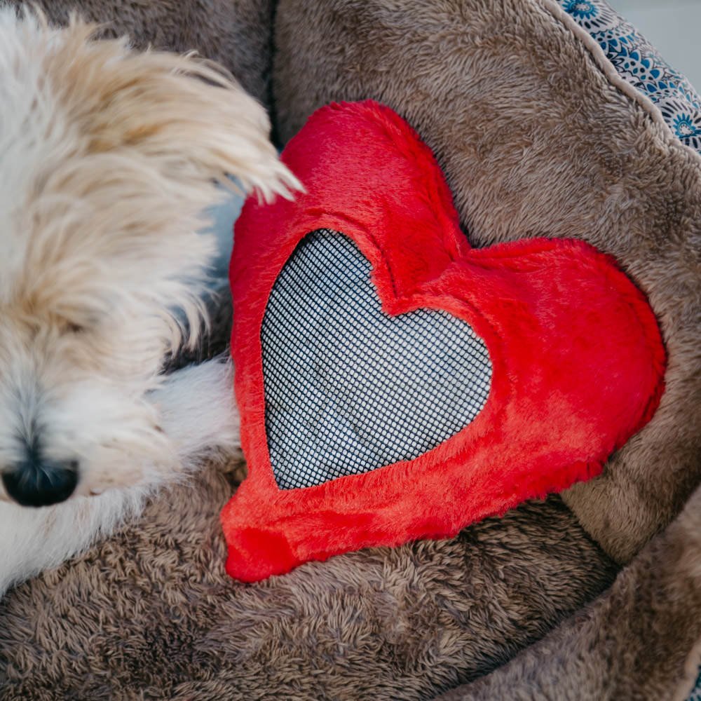 “When You’re Away” Comfort Cuddler