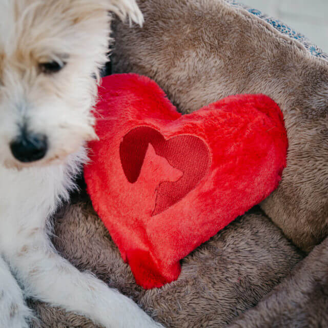 “When You’re Away” Comfort Cuddler