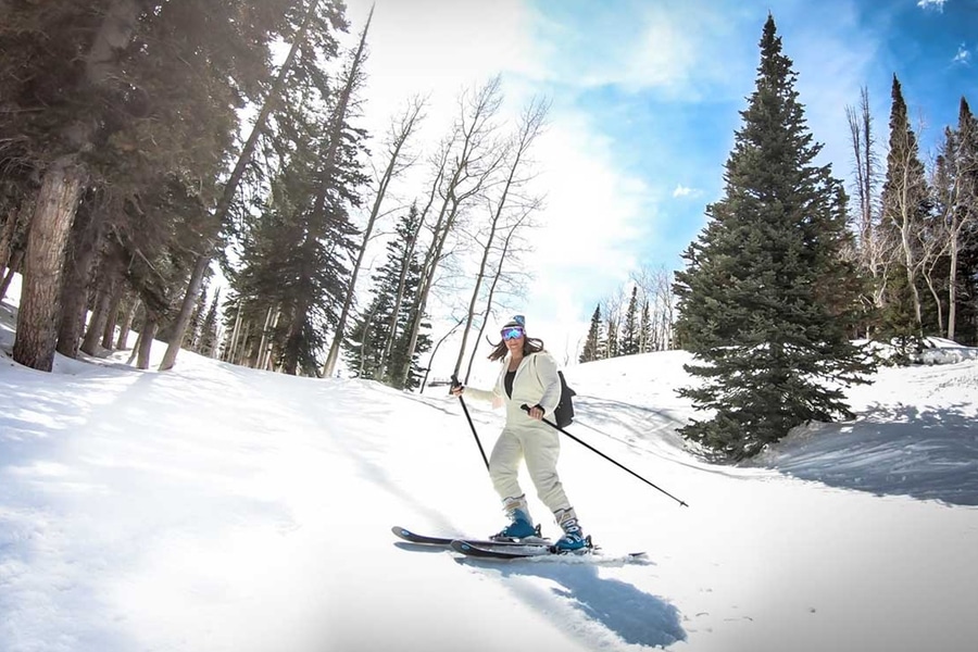 WhiSKI Poles Ski Pole Flasks