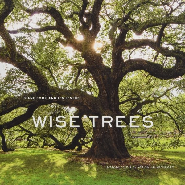 Wise Trees Photobook