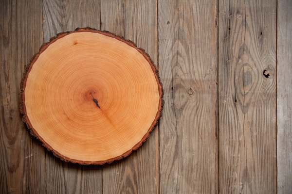 Wood Slice Serving Board