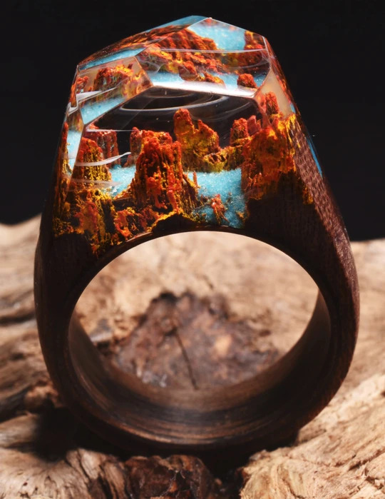 Wooden Rings With Mini Landscapes Encapsulated In Resin