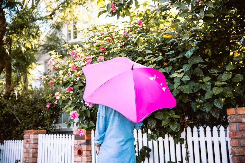 World's Best Umbrella