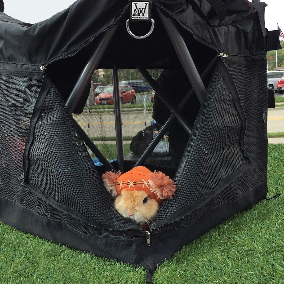 Wrapsit That Converts Lawn Chair Into A Pet Crate