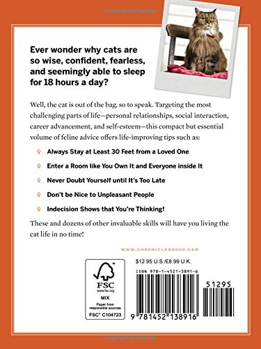 You Need More Sleep: Advice from Cats