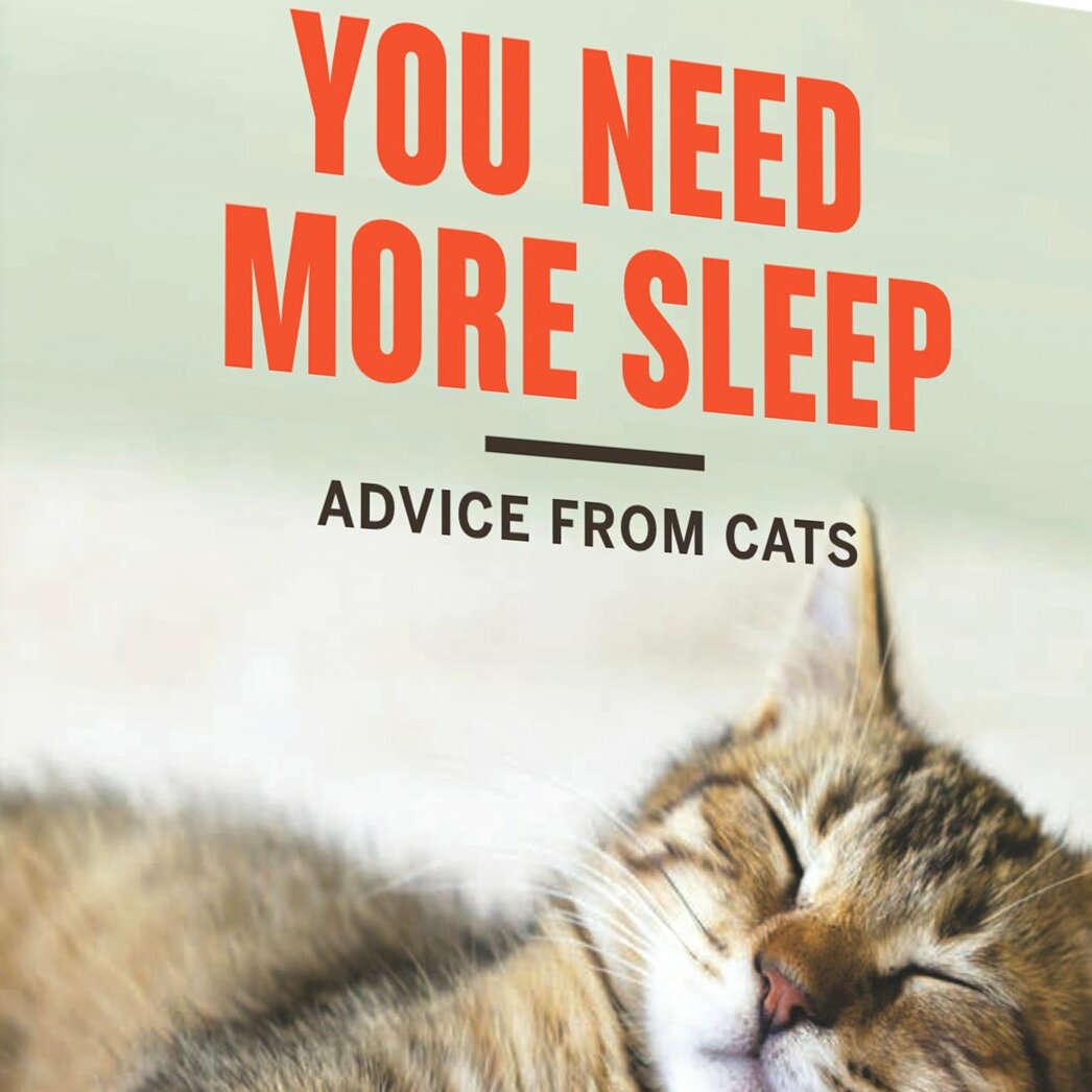 You Need More Sleep: Advice from Cats