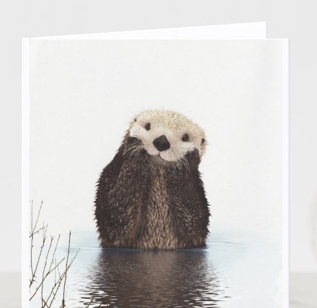  Adorable Fluffy Otter Card