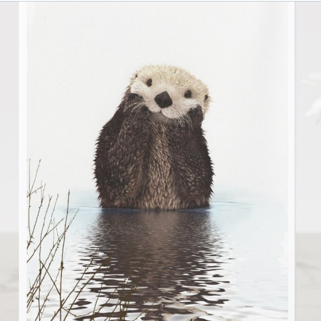  Adorable Fluffy Otter Card