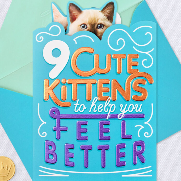 Cute Kittens Get Well Card