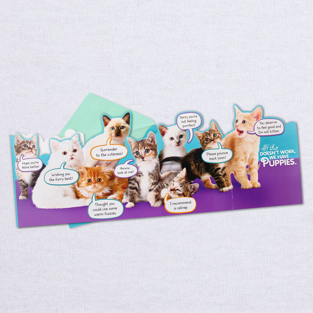 Cute Kittens Get Well Card