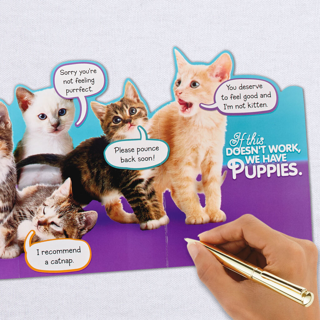 Cute Kittens Get Well Card