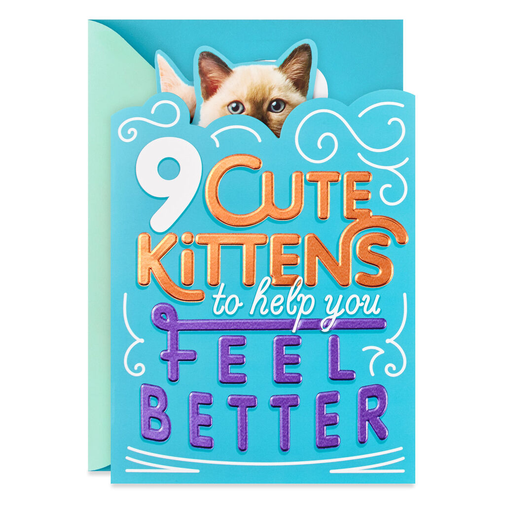 Cute Kittens Get Well Card