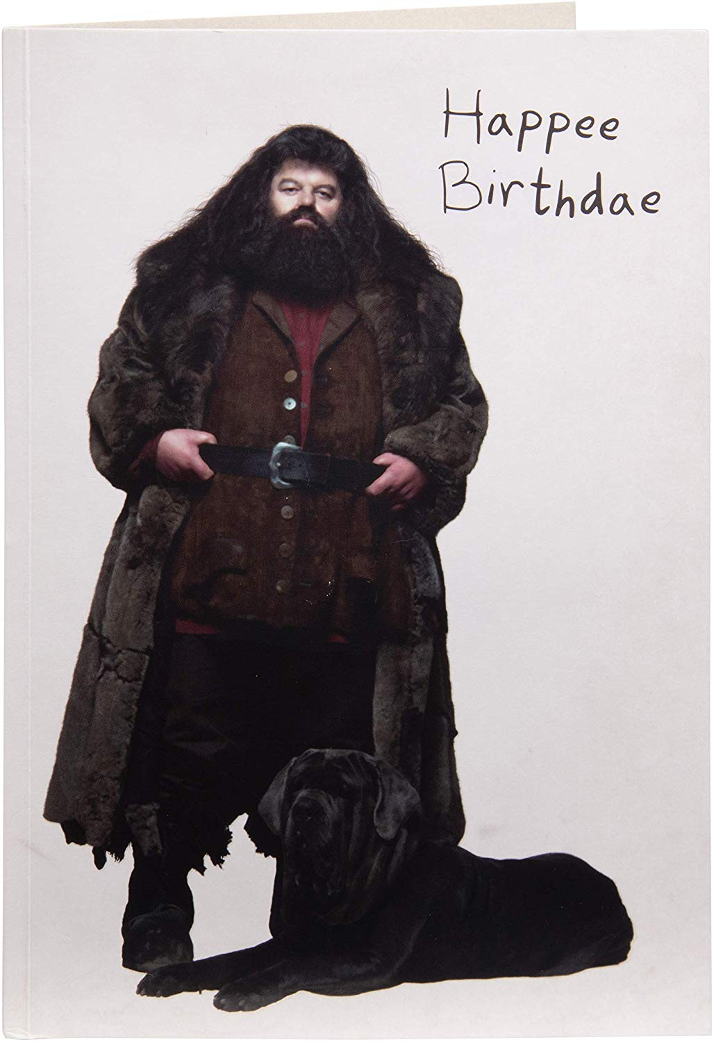 Hagrid Happy Birthday Cake Pop-Up Card