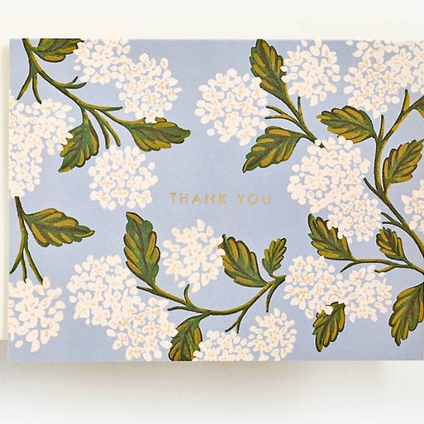 Hydrangeas Thank You Card