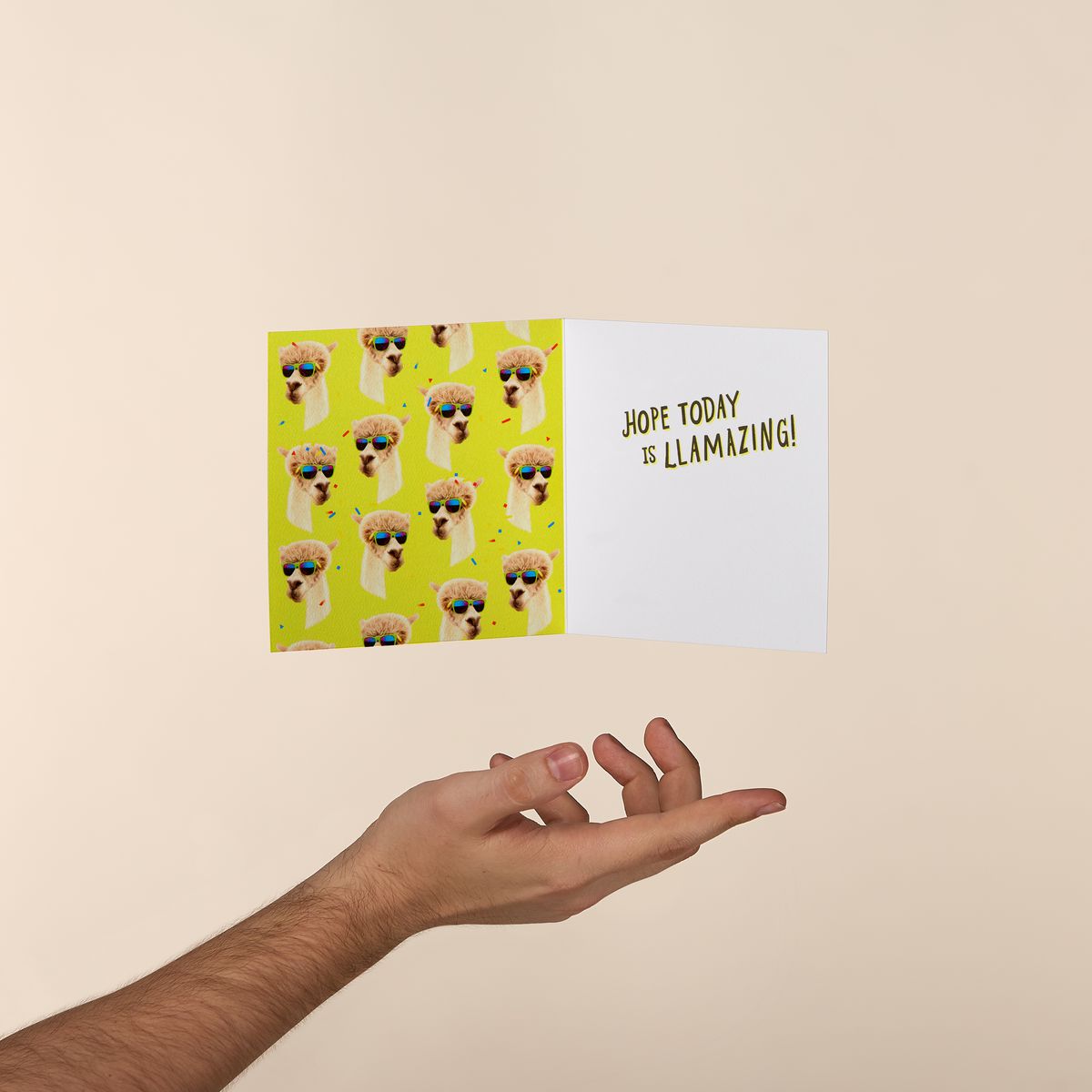 Let's Party Llamas Card