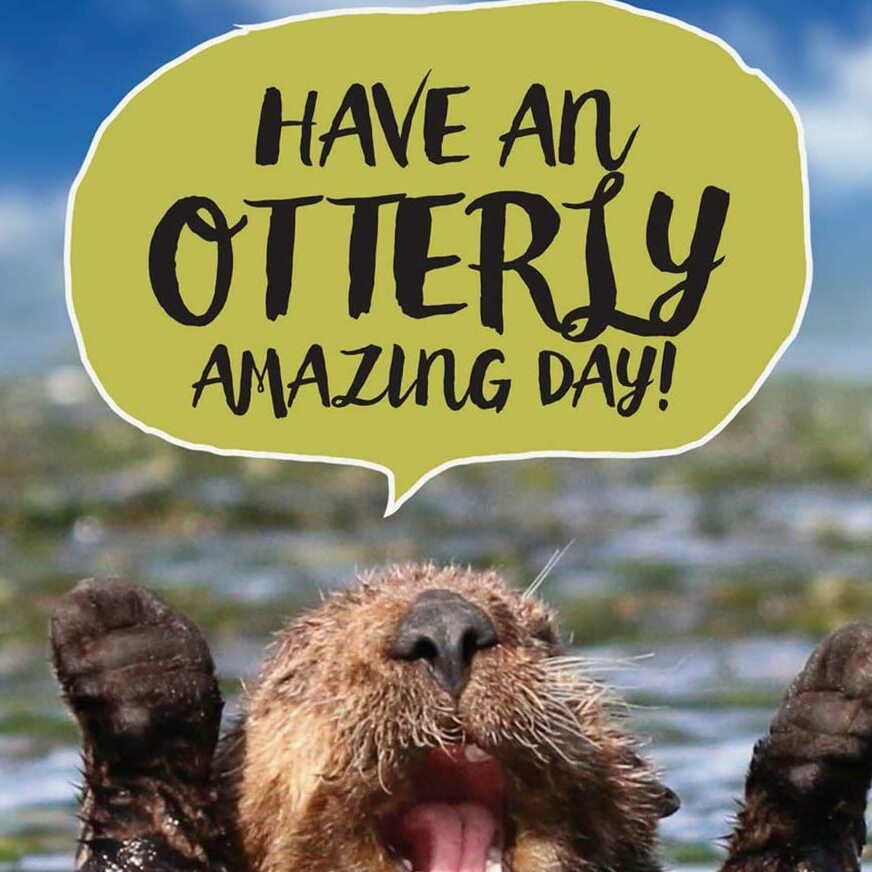 Otterly Amazing Birthday Greeting Card