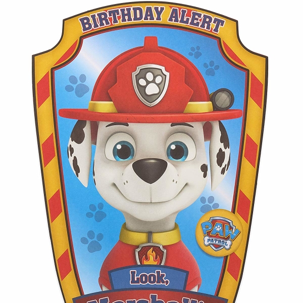 Paw Patrol Marshall Birthday Card