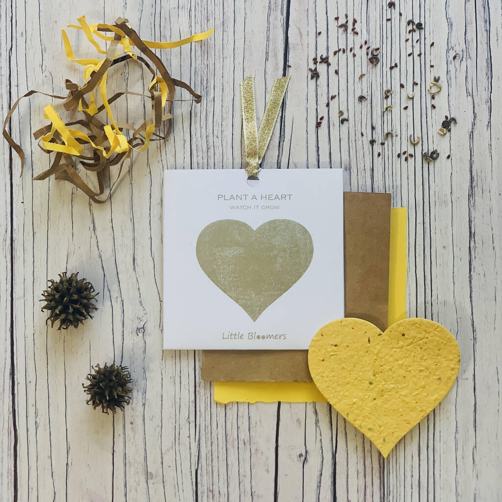  'Plant a Heart' Seed Paper Gift