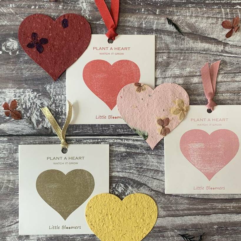  'Plant a Heart' Seed Paper Gift