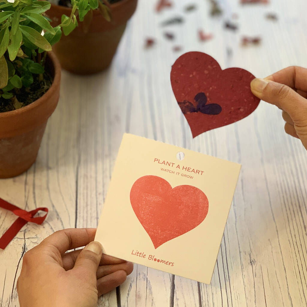  'Plant a Heart' Seed Paper Gift