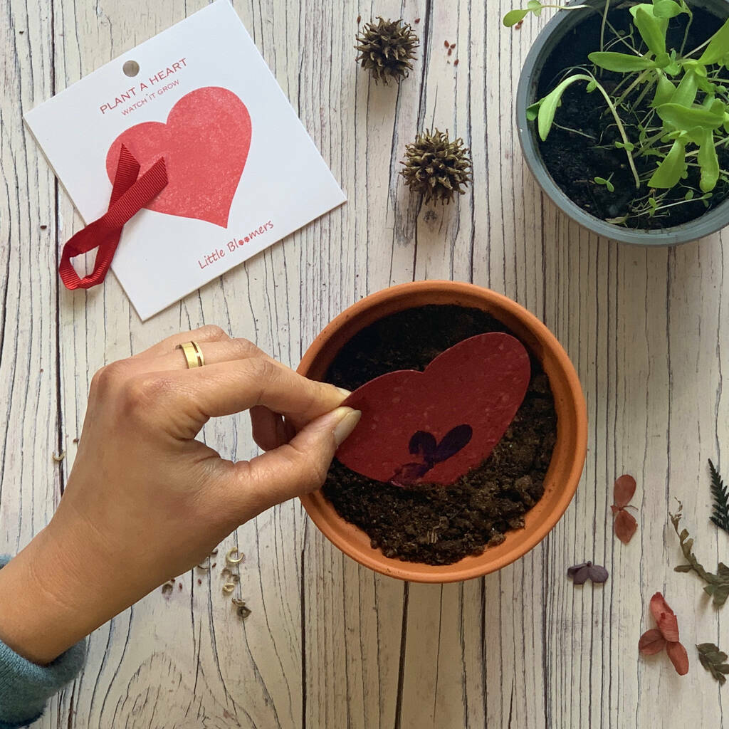  'Plant a Heart' Seed Paper Gift