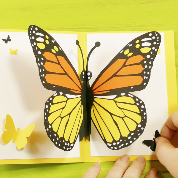 Pop-Up Butterfly Card