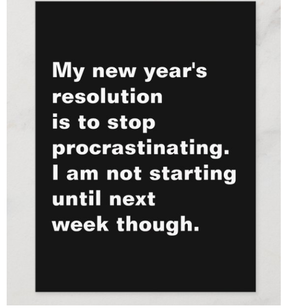  Sarcastic New Year's Resolution Quote Holiday Postcard