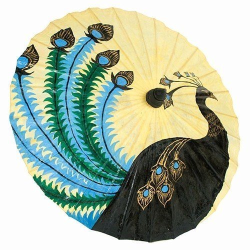 Hand Painted Peacock Paper Sun Parasol