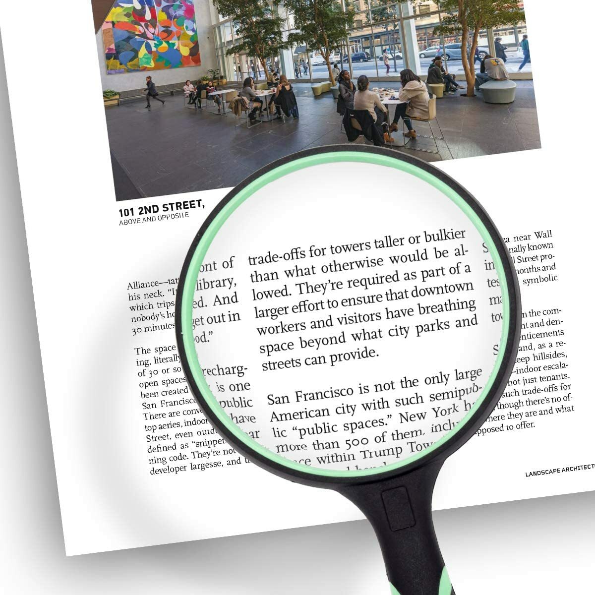 Handheld Reading Magnifier