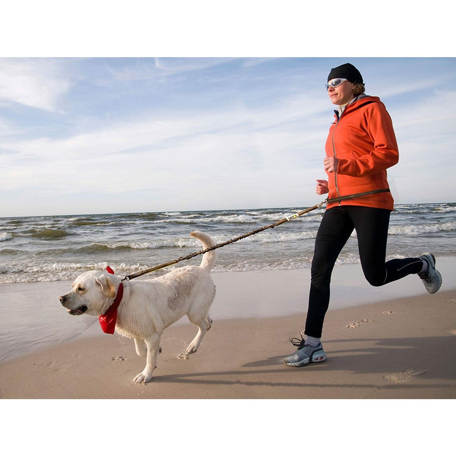 Hands-Free Dog Leash