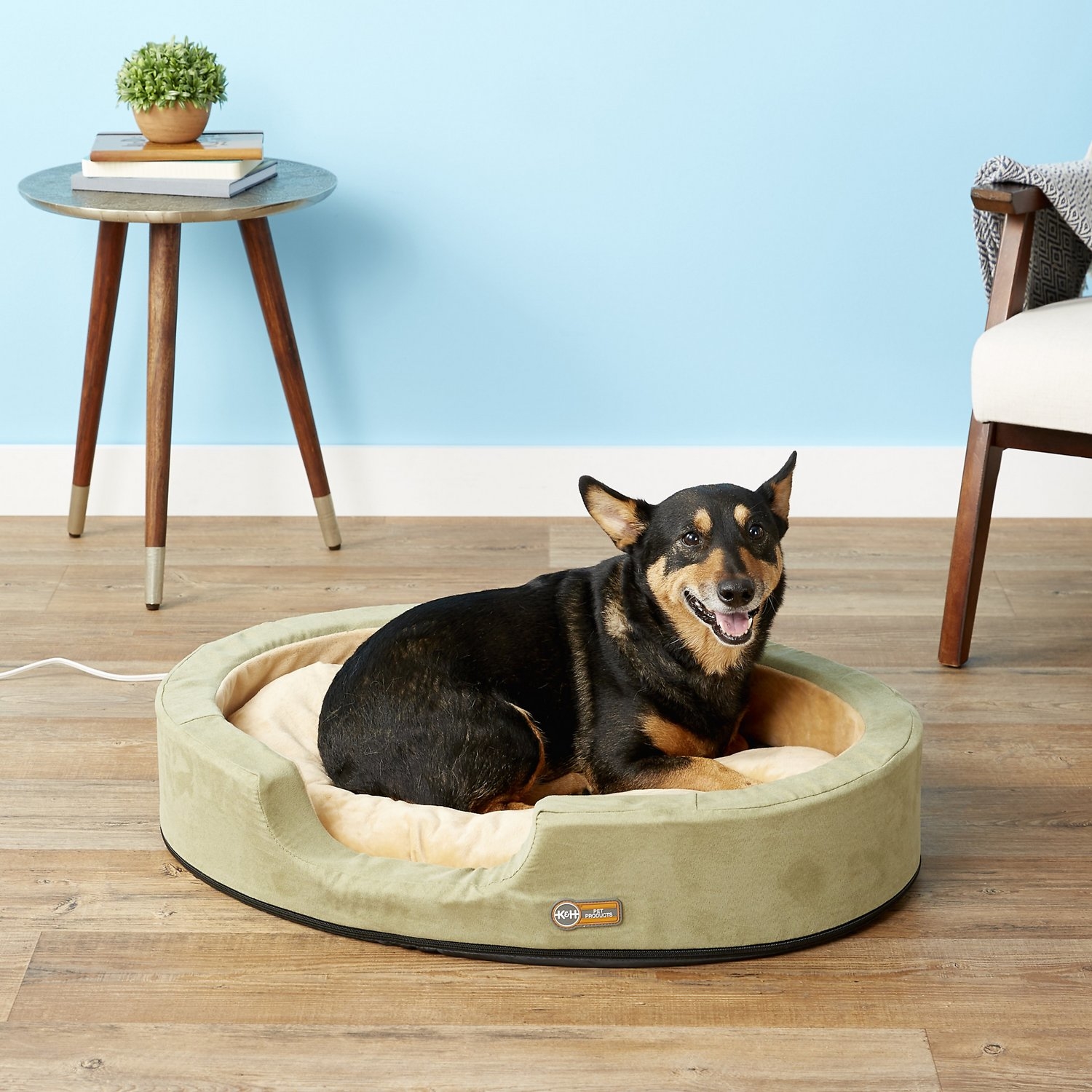 Heated Pet Bed