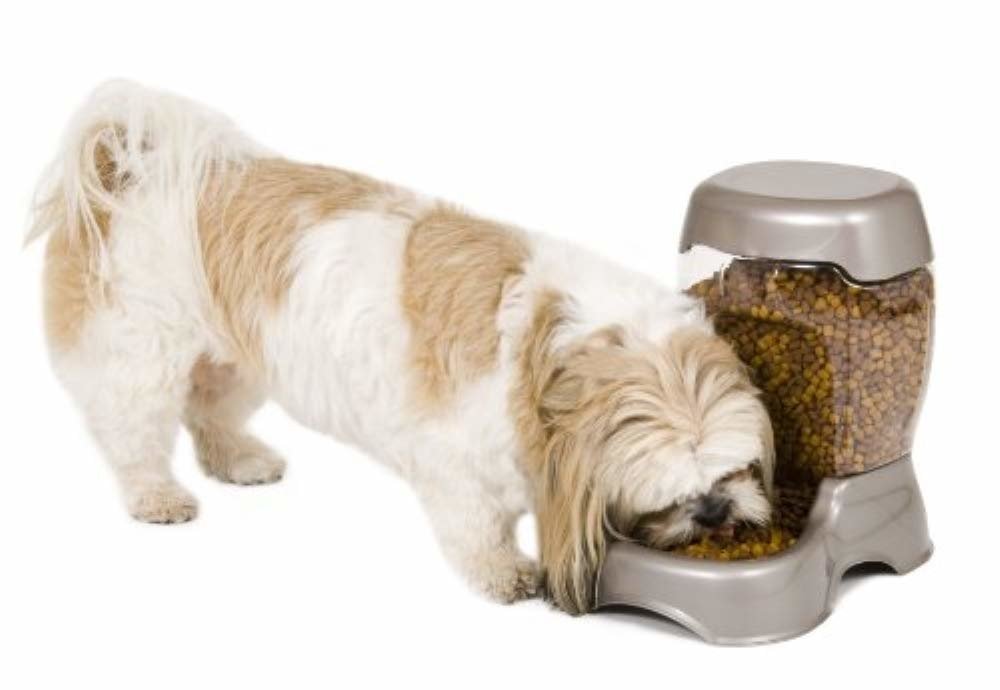 Petmate Pet Caf� Feeder