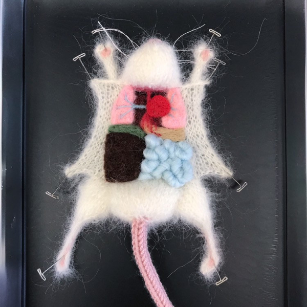 Knitted Dissection