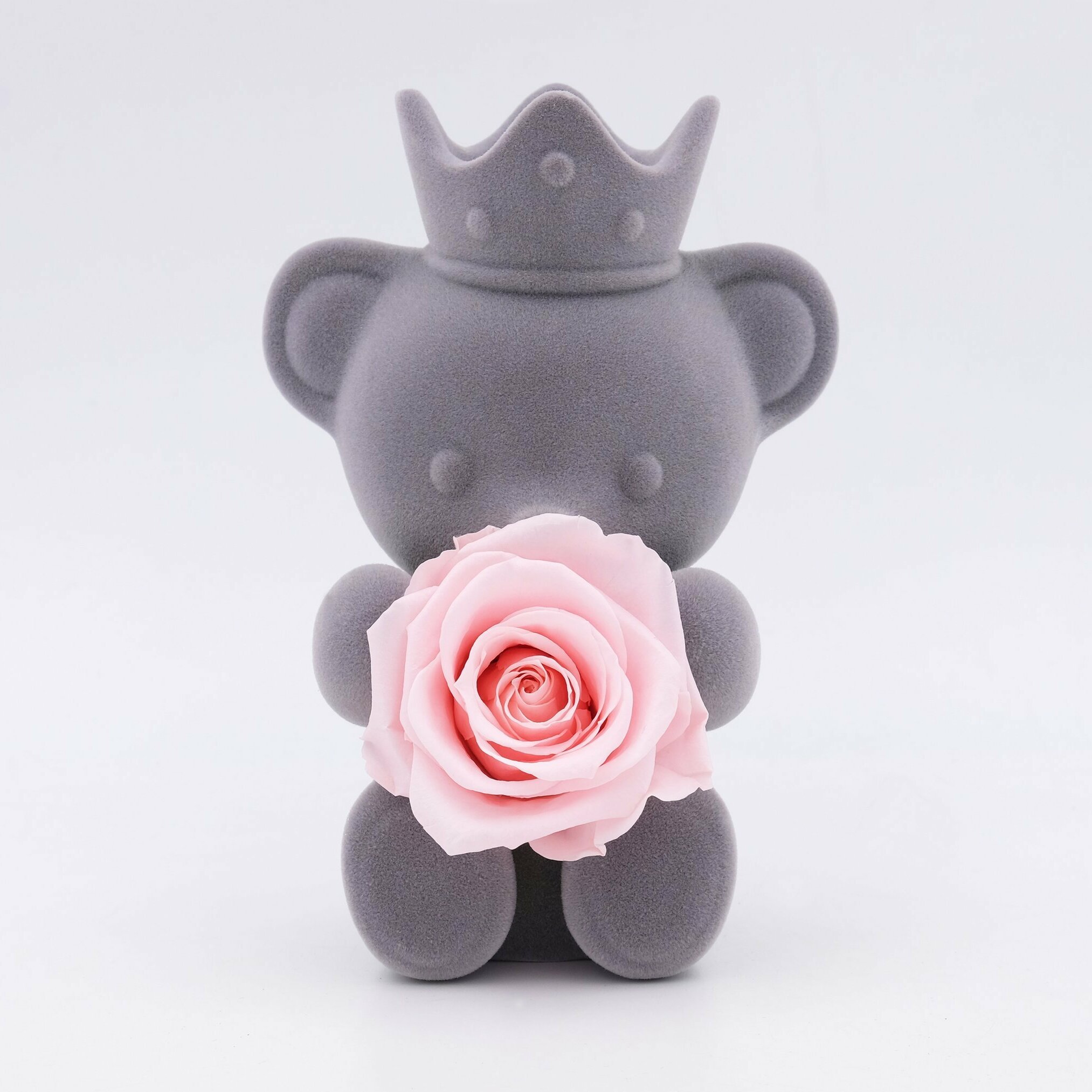 Preserved Roses Teddy Bear