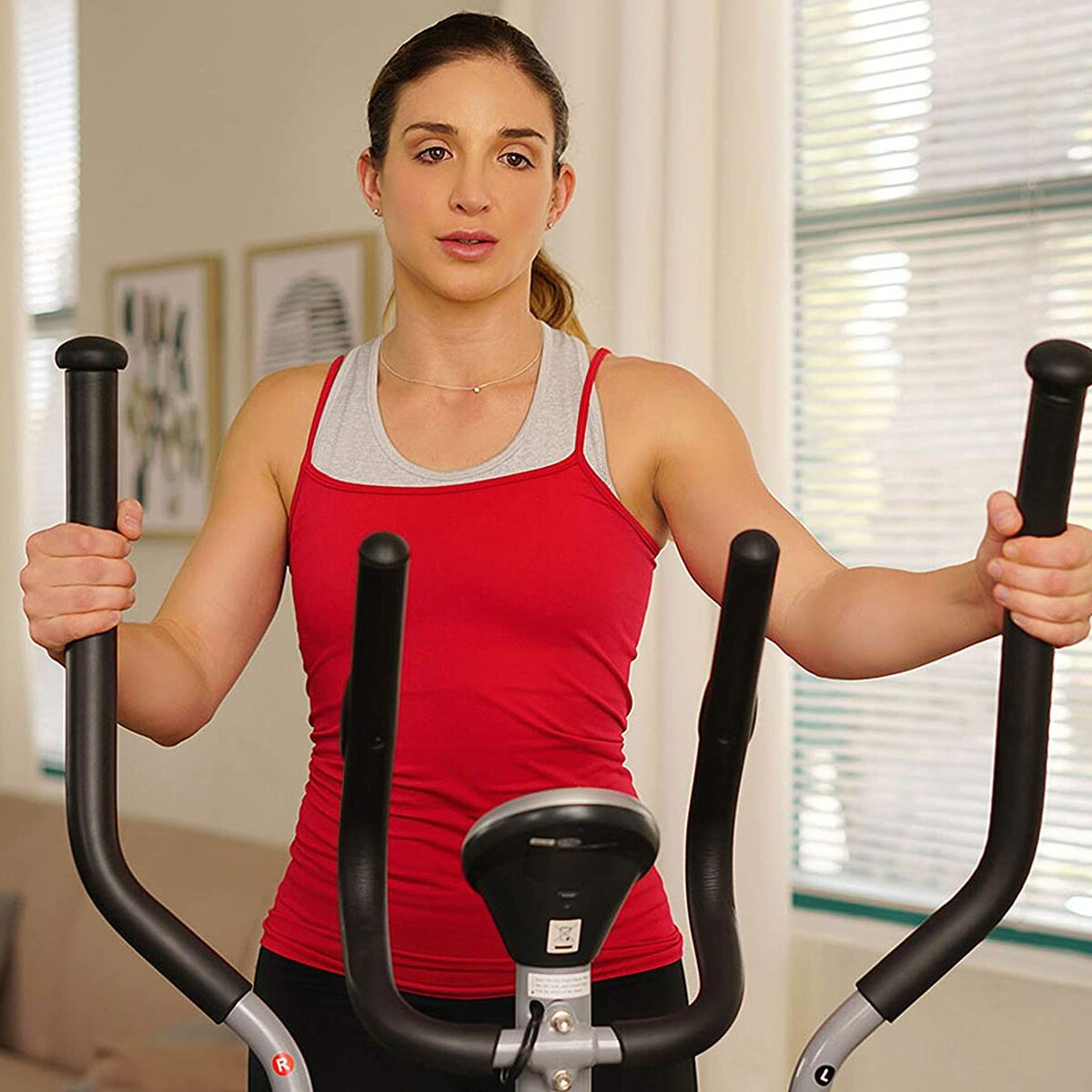 Sunny Health & Fitness SF-E905 Elliptical Machine