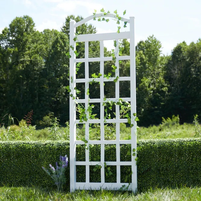 White Traditional Garden Trellis