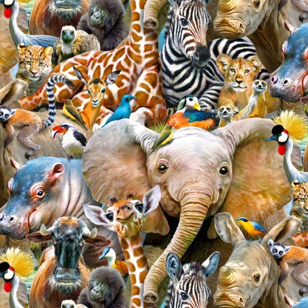 African Animals Gift Wrap