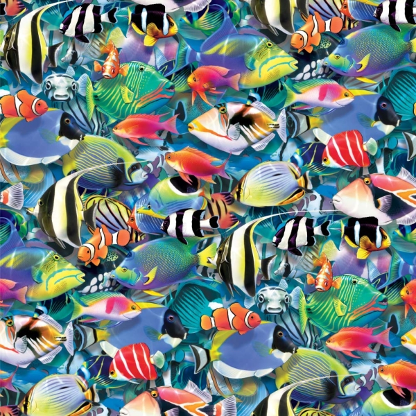Coral Reef Fish Gift Wrap
