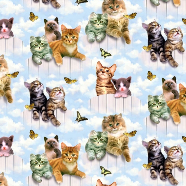 Kittens Cats and Butteflies Gift Wrap