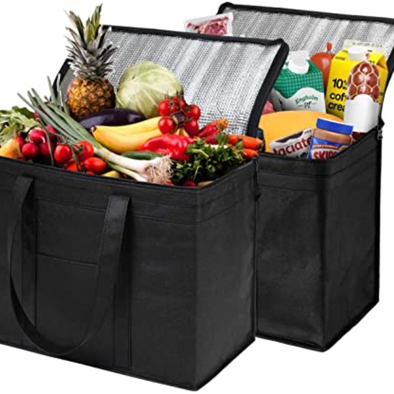 XL Insulated Shopping Bags for Groceries