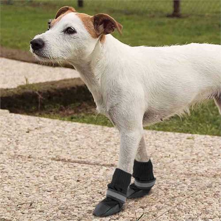 XSY&G Dog Boots