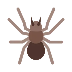 Spiders (Arachnophobia)